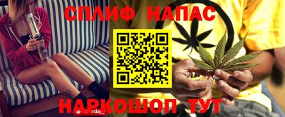 гидропоника Моздок