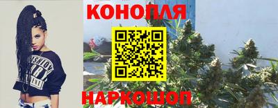 стафф Можга