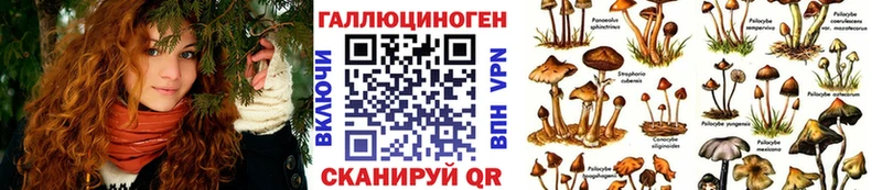 shop Telegram  Заинск  Псилоцибиновые грибы Psilocybe  blacksprut зеркало 