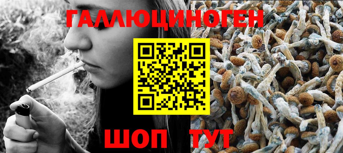 Галлюциногенные грибы мицелий Заинск
