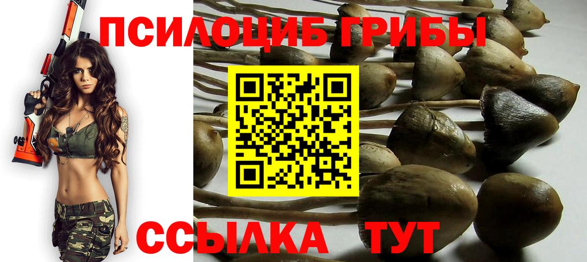 Псилоцибиновые грибы прущие грибы  Вход с VPN  Заинск 