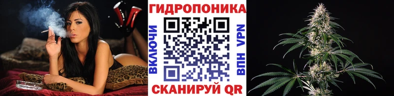 OMG рабочий сайт  Заинск  Бошки марихуана ГИДРОПОН 